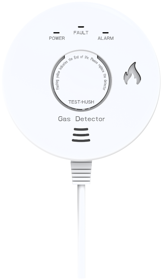 ZYTA G1-001 家用燃气报警器
